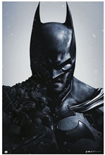 Plagát DC Comics: Batman Arkham Origins (61 x 91,5 cm) 150g