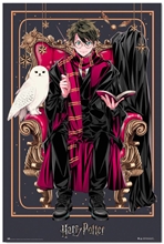 Plagát Harry Potter: Harry (61 x 91,5 cm) 150g