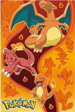 Pokémon - Fire Type plagát