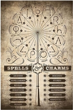 Plakát Harry Potter: Spells & Charms (61 x 91,5 cm)