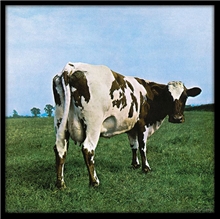 Plagát v rámu Pink Floyd: Atom Heart Mother (31,5 x 31,5 cm)