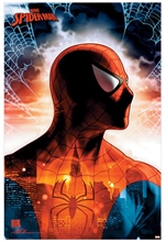 Plagát Marvel Spiderman: Protector Of The City (61 x 91,5 cm)