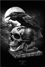 Plakát Alchemy: Poe's Raven (61 x 91,5 cm)