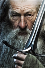 Plagát The Lord Of The Rings Pán prstenů: Gandalf (61 x 91,5 cm)