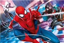 Plagát Marvel Spiderman: Peter, Miles & Gwen (61 x 91,5 cm) 150 g