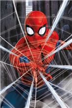 Plagát Marvel Spiderman: Web (61 x 91,5 cm) 150 g