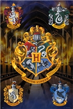 Plagát Harry Potter: Hogwarts (61 x 91,5 cm) 150 g