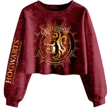 Dámska mikina Harry Potter: Gryffindor Constellation (L) bordová