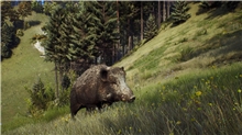 Way of the Hunter - Hunting Season One (PS5)