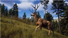 Way of the Hunter - Hunting Season One (PS5)