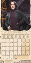 Kalendár Harry Potter - Postavy 2024