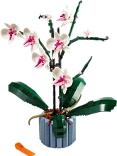 LEGO® Botanicals 10311: Orchidej