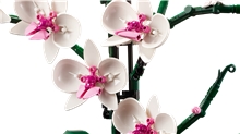 LEGO® Botanicals 10311: Orchidej