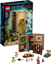 LEGO® Harry Potter™ 76384: Kouzelné momenty z Bradavic: Hodina bylinkářství