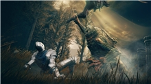 Elden Ring - Shadow of the Erdtree - Collectors Edition (PC)