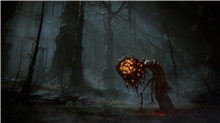 Elden Ring - Shadow of the Erdtree - Collectors Edition (PC)