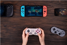 8BitDo SN30 Pro Bluetooth Gamepad - Gray (SWITCH)