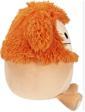 Squishmallows - 30 cm plyšák - Shasta Bigfoot