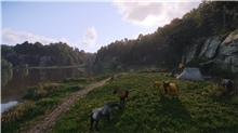 Kingdom Come: Deliverance II - Collectors Edition (PS5)