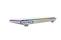 ASUS klávesnice ROG FALCHION RX Low profile (ROG NX Snow), US