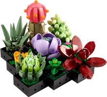 LEGO® Botanicals 10309: Sukulenty