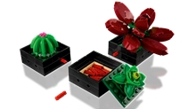LEGO® Botanicals 10309: Sukulenty