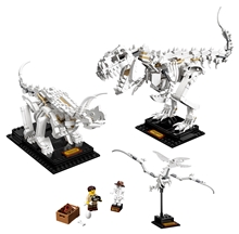 LEGO® Ideas 21320: Dinosauří fosilie