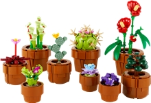 LEGO® Botanicals 10329: Miniaturní rostliny