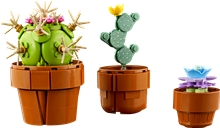 LEGO® Botanicals 10329: Miniaturní rostliny