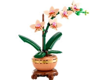 LEGO® Botanicals 10343: Miniaturní orchidej