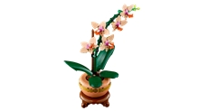 LEGO® Botanicals 10343: Miniaturní orchidej