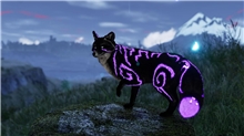 Spirit of the North 2 (PS5)