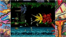 Toaplan Arcade Collection Volume 2 (SWITCH)