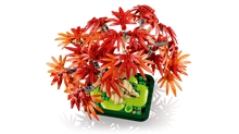 LEGO® Botanicals 10348: Bonsaj – Japonský červený javor