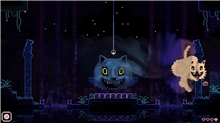 Animal Well (SWITCH)