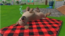 Little Friends: Puppy Island (Code in a Box) (SWITCH)