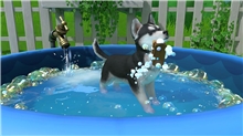 Little Friends: Puppy Island (Code in a Box) (SWITCH)