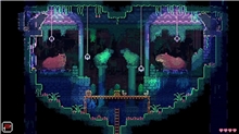 Animal Well (PS5)