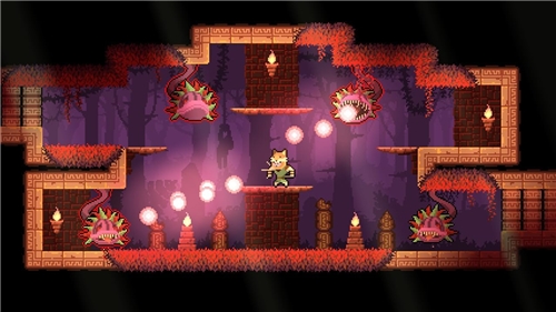 Dunjungle - Premium Edition (SWITCH)