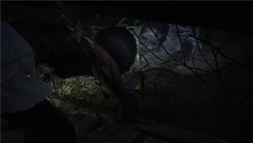 Fatal Frame II: Crimson Butterfly REMAKE (PS5) 