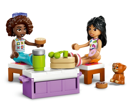 LEGO® Friends 42659 - Výlet s priateľmi v aute