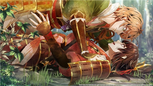 Birushana: Winds of Fate (SWITCH)