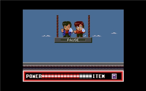 City Hunter - Collectors Edition (SWITCH)