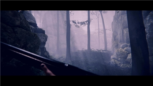 Project Songbird (PS5)