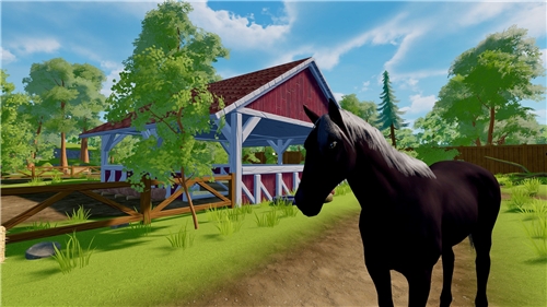 Sophias Animal Clinic (SWITCH)