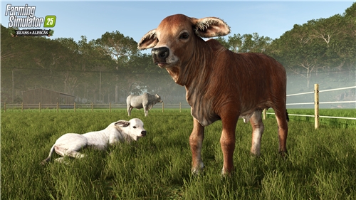 Farming Simulator 25 Beans & Alpacas Edition (XSX)