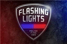 Flashing Lights - Police Fire EMS (Voucher - Kód ke stažení) (PC)