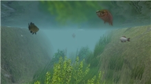 European Fishing (Voucher - Kód na stiahnutie) (PC)